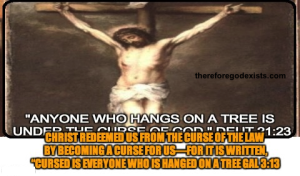 christ cursed