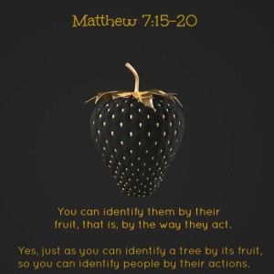 Matthew-7